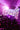 A vibrant Elite Vodka luxury event in a grand nightclub with a full crowd in Amsterdam, purple lighting, and live entertainment creating a premium lifestyle atmosphere